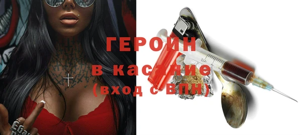 индика Алексин