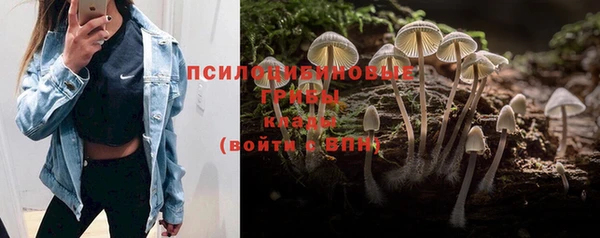 твердый Абаза