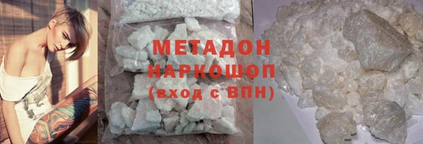 индика Алексин