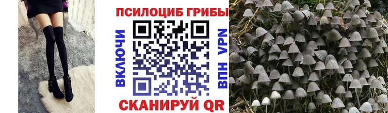 Псилоцибиновые грибы ЛСД  Туран 